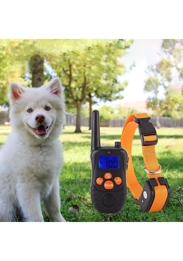 Homyl Köpek Eğitim Tasması Suya Dayanıklı Turuncu