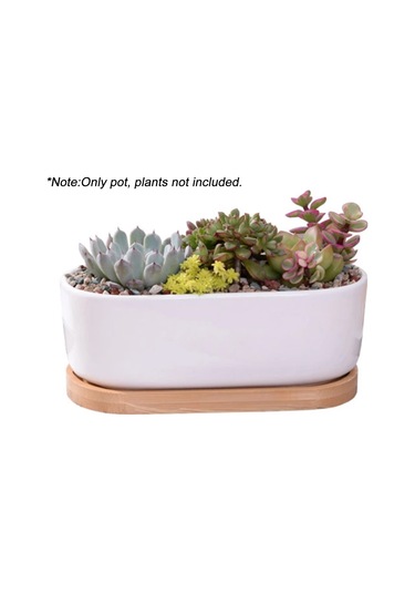 Jeehugo Beyaz Seramik Oval Sukulent Ve Kaktüs Saksısı, Bambü Tabaklı, Ev Ofis Masaüstü İçin, 2'li Set Saksı + Tabak , Bitki Yok