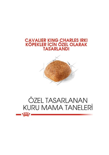 Royal Canin Cavalier King Charles Yetişkin Köpek Maması 1500 G