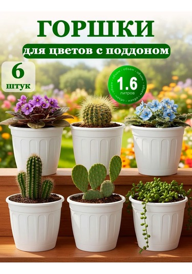 Saburg Çiçek Saksıları Seti, 6 Adet 1,6 Litrelik Saksı Altlığı İle 169064230