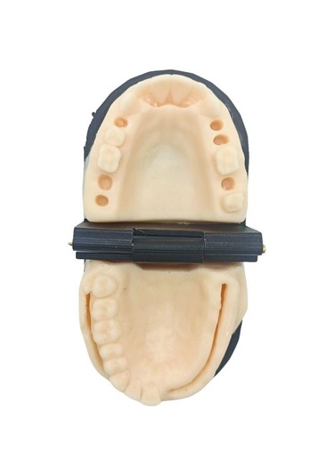 Barışhan Medikal Silikon Çene Diş Dikiş Modeli Ortodontik Alt Üst Çene Periodontal Sütür Eğitim Modeli-2