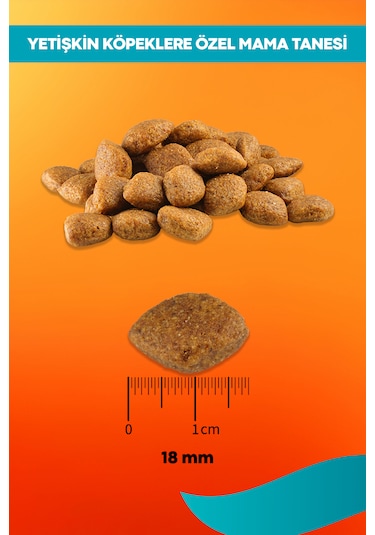 Kuzu Ve Pirinçli Yetişkin Köpek Maması Maintenance 3kg