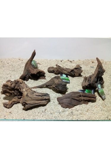Mangrov Kütük M Boy 15-20 CM