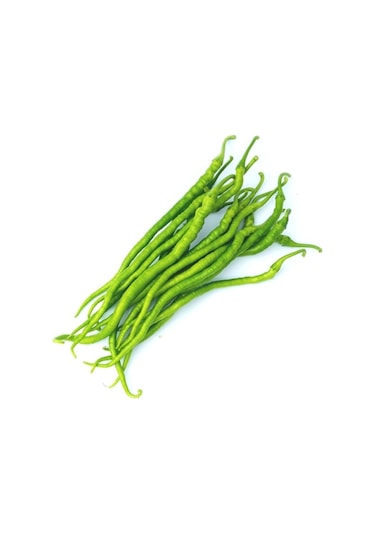 Burkalem Biber Tohumu Tatlı Burkalem Biber Tohumu Ekim Seti 25 Adet Tohum + Saksı+toprak