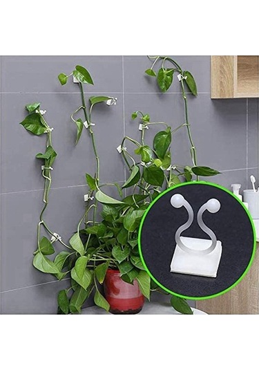 Ulzyvf Lebihmurah 5020 100 Adet Görünmez Duvar Sarmaşık Fikstürü, Bitki Tırmanma Duvarı Klipleri, Ev Bahçe Duvarı Yapışkan Kanca Orta
