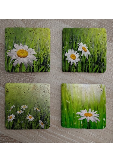 Papatyalar Doğal Taş Bardak Altlığı 4'lü Set - Natural Stone Coasters - Taş Çok Renkli