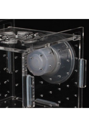 Magideal Suntek Akvaryum Balık Yetiştirici Kutu