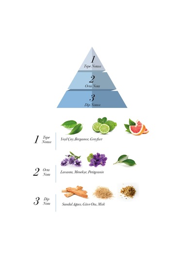 Prova 2 Men Erkek Parfüm EDP 2 x 120 ML