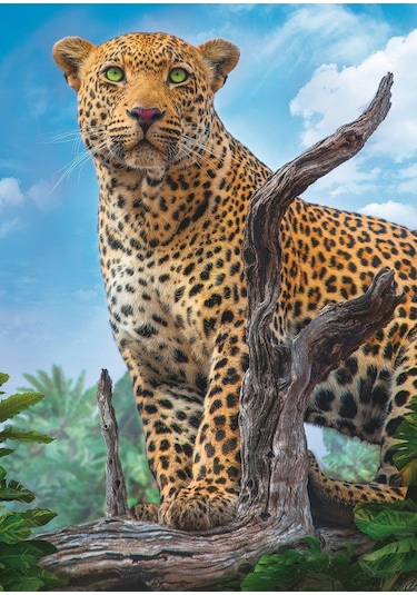 Trefl Puzzle Wild Leopard 500 Parça Puzzle