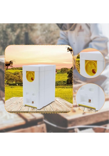 Homyl Kraliçe Arı Yetiştirme Kutusu Köpük Kovanı Bahçe