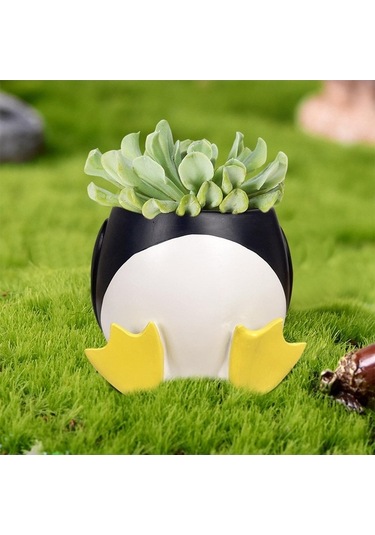 Pazly Yaratıcı Suntek Sukulent Saksısı Penguen Mini Bitki 10cmx9cm 10cmx9cm