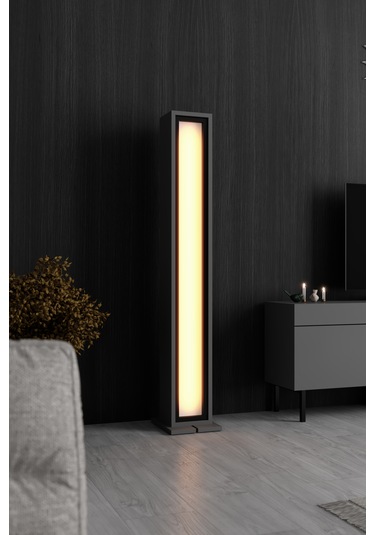 Nova Siyah Demir Ayaklı Rgb Led Işık Sistemli Antrasit Lambader Yok