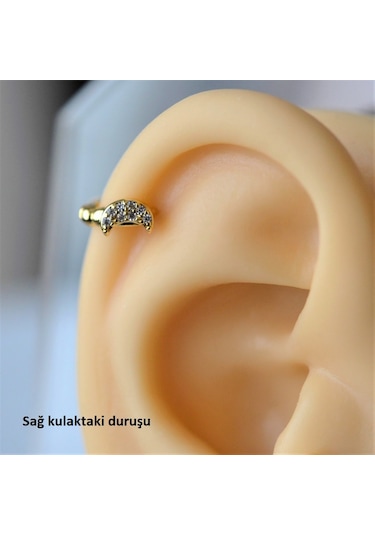 Heppii Gold Renk Cerrahi Çelik Ay Modelli Halka Tragus Piercing Helix Lo Altın
