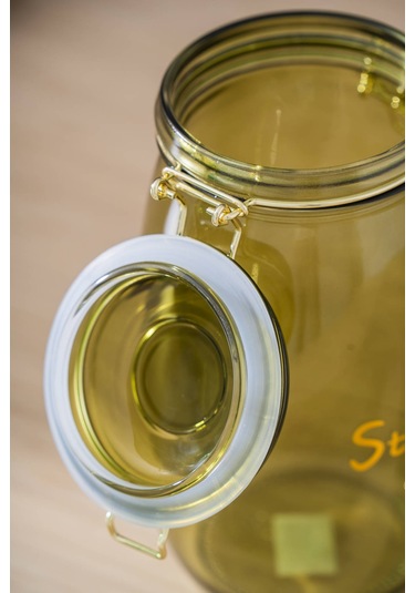 Pierre Klipsli Kapaklı Kavanoz Seti - 21.5 Cm Açık Yeşil