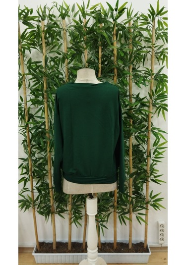 Evyora Kadın Uzun Kollu Bisiklet Yaka Viskon Iki Iplik Bluz Yeşil