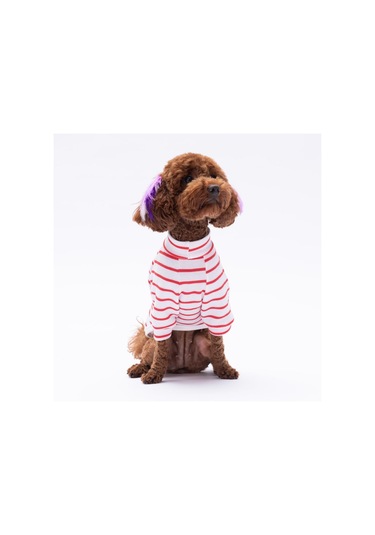 Kırmızı Bear With Me Baskılı Triko Sweat Kedi Köpek Sweat Kedi Köpek Kıyafeti