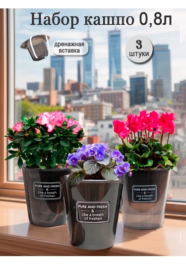 Saburg Fitil İle Otomatik Sulamalı Orkide Saksısı, 3 Adet, 0,8l 12416197