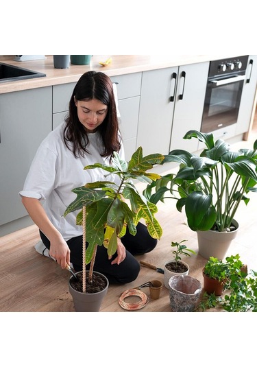 Suofeng 6 Adet Elektrokültür Bitki Direnci - 25.4cm Armut Ağaç Ve Bakır Sarma - Bahçe Sebze Çiçek Büyüme Stimülatörü