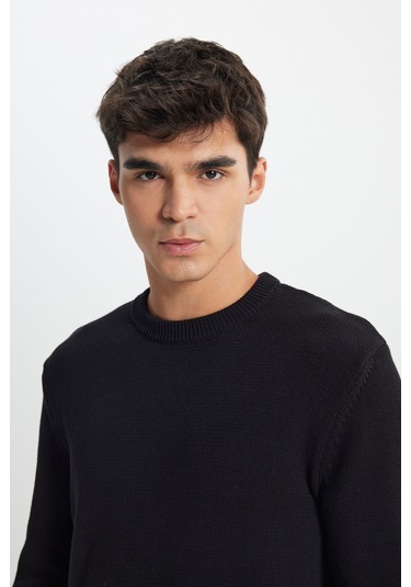 Regular Fit Normal Kesim Bisiklet Yaka Siyah Triko L242474001 Siyah