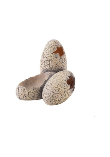 Exo Terra Dinosaur Eggs Pt2840