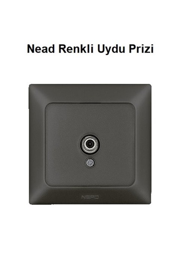 Nead Renkli Uydu Prizi Çerçevesiz