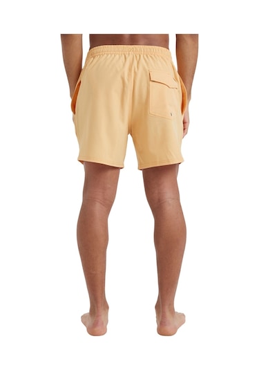 Quıksılver Quiksilver Surfsilk Solid Volley 16 Erkek Volley Short Ngr0 Sari