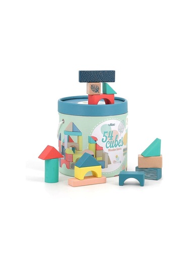 Vilac - Ahşap Bloklar - 54 Parça
