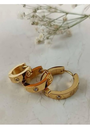 Cartiyer Hakla Taşlı Çelik Küpe