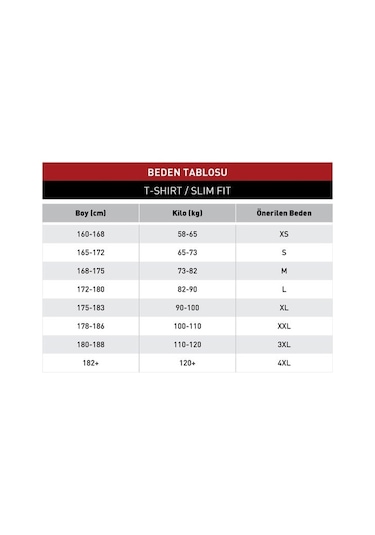 Efor Comfort Fit Rayon Karışımlı Kahverengi Bisiklet Yaka Tişört Ts 925
