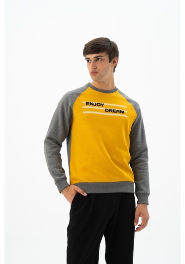 Arma Erkek Büyük Beden Bisiklet Yaka Sweatshirt K24124884401 Sarı