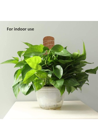 Qingmipy 4 Adet 45cm Hindistan Cevizi Lifli Bitki Tırmanma Desteği - Saksı Bitkileri İçin Pratik Destek Çubuğu