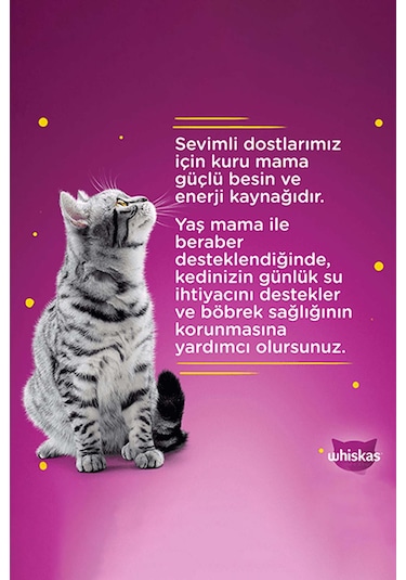 Whiskas Kümes Hayvanlı Yavru Güveç Klasik 4'lü 340 G