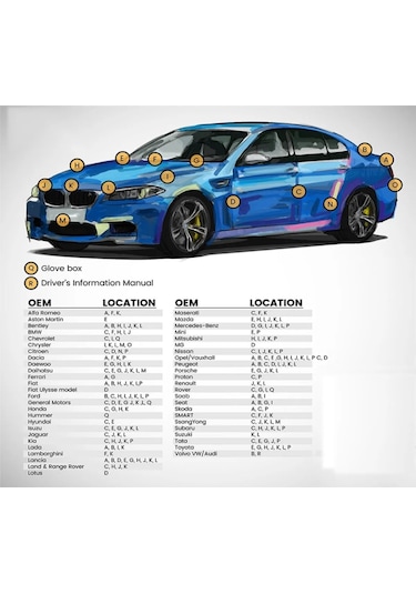 Ford Escort Van 9412 + Vernik Panter Siyahı Rötuş Boyası İğne Ve Fırça Uçlu 25ml.