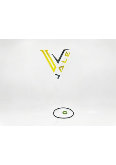 Bmw 1-3 Serisi Vakum Pompa Oring Set Reinz F30.f20.n13 -11127634