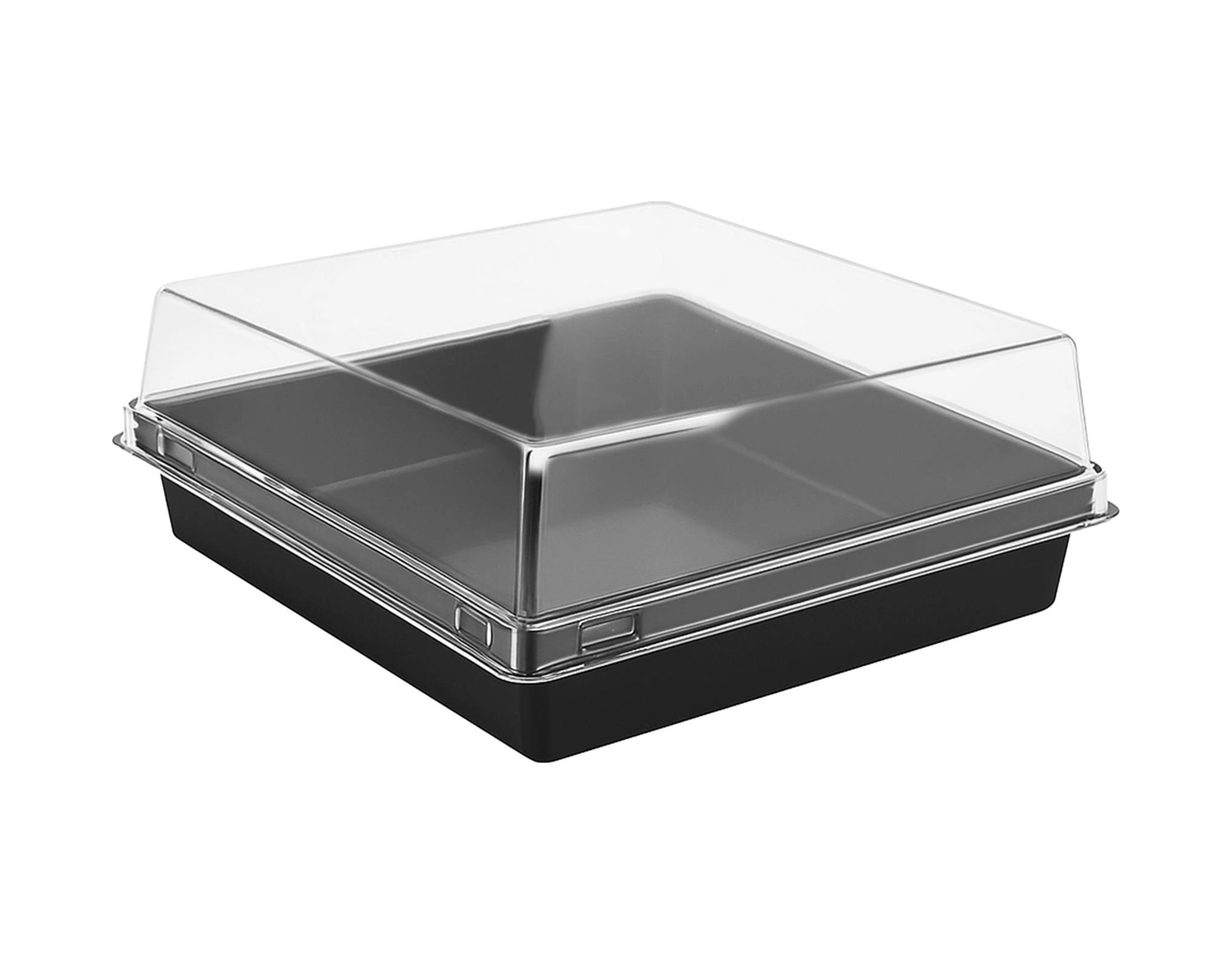 Kare Pasta Kabı Seti 12x12x4,5 Cm - 50 Adet Siyah