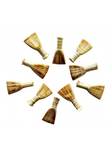 Profosyoneı Zurna Kamışı 10 Adet