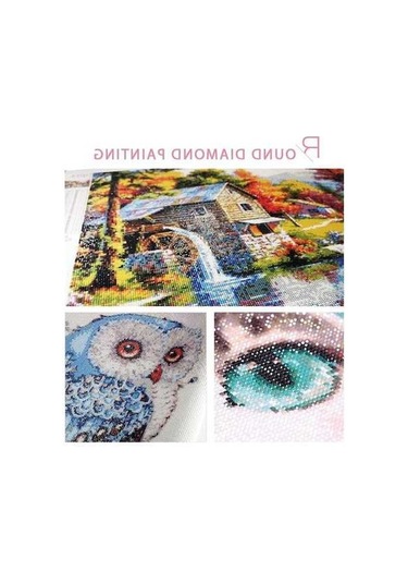 Novahub Maine Coon Kedi 5d Elmas Boyama Mozaik Nakış İğne Dıy Set