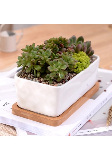 Yifomall Beyaz Seramik Dikdörtgen Saksı - Bambu Tepsi İle Minimalist Sukulent Ve Çiçek Saksısı