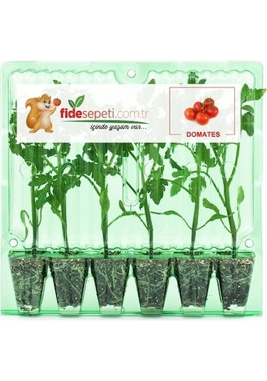 Fide Sepeti Pembe Domates Fidesi (6Lı Ambalaj) 320497200