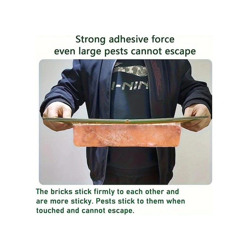 Trendooze Güneşli022 5 Adet A4 Boy Yapışkan Tuzak Ev Bahçe İçin Sinek Güve Yakalama Zehirsiz