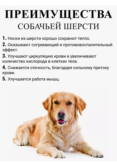 Tafinceva Yüksek Çorap Seti 179024526 Siyah