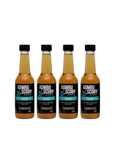 Kombu Scoby Kombucha Tarçın Yeni Nesil İçeçek 4 x 250 ML