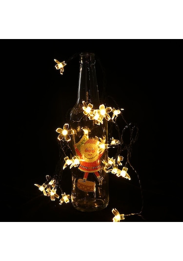 Dinleme Dizisi Güneş Enerjili Işık Dizisi Çok Renkli 20 20 Çok Renkli 20-20