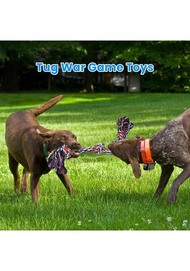 2 Adet Ağır Hizmet Köpek İpi Oyuncağı - Büyük Ve Orta Boy Köpekler İçin Dayanıklı Örgülü Tasarım Ve Renkli Püsküller