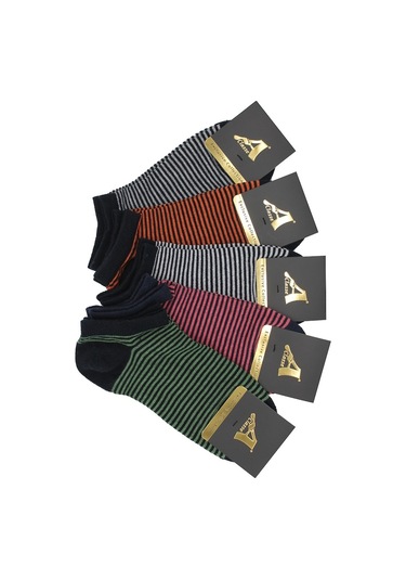 5'Li Paket Lacivert Üzeri Renkli Çizgili Kadın Patik Çorap Lacivert