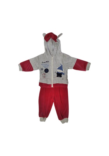 Kız Bebek Alt Üst Takım Gri - Narçiçeği Kapşonlu Kadife 118 Narçiçeği