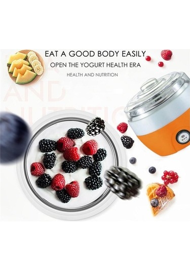 Novahub Yeni Jms Çelik Yoğurt Makinesi - Otomatik Ev Yoğurt Yapıcı