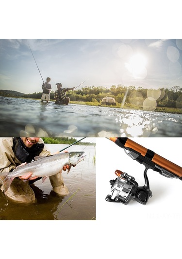 Shineyee Mn100 Metal Spinning Reel 3 Ball Bearings 4.3:1 Oran 4 Kg Maksimum Sürtünme Beyaz Altın Renk Ayağa Takma Kılıfı İçerir