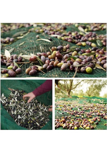 5x5 Metre Zeytin Sergisi Zeytin Toplama Filesi Fındık Fıstık Örtüsü Gölgelik Dut Meyve Sergisi Taban Örtüsü