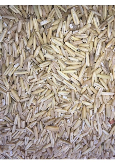 Vivid Soyulmuş İç Yulaf 1 KG